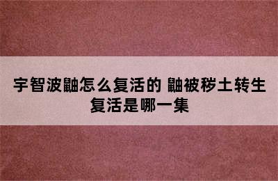 宇智波鼬怎么复活的 鼬被秽土转生复活是哪一集